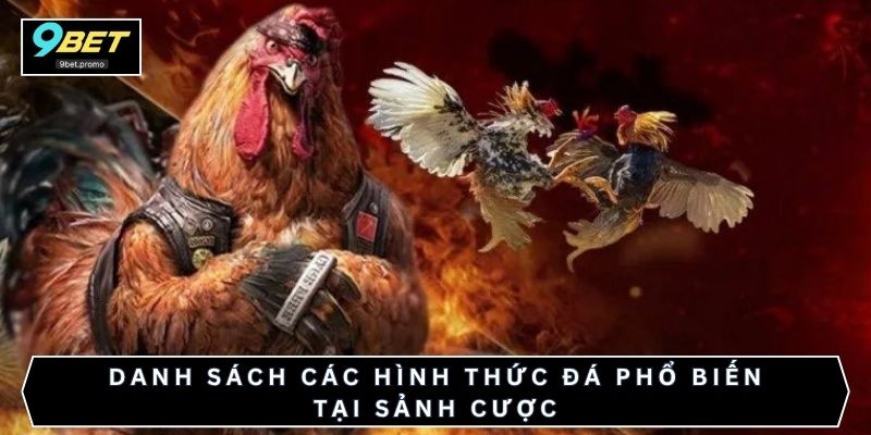 Danh sách các hình thức đá phổ biến tại sảnh cược